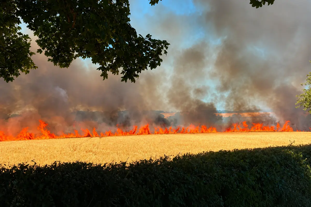 UK heatwave sparks major wildfires
