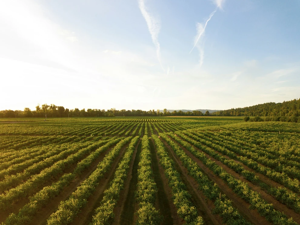 EU approves carbon farming standards