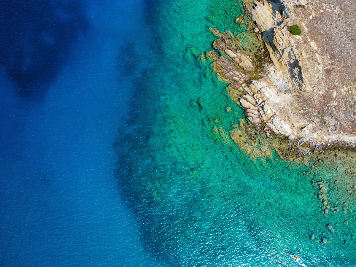 Global ocean temperatures hit record high