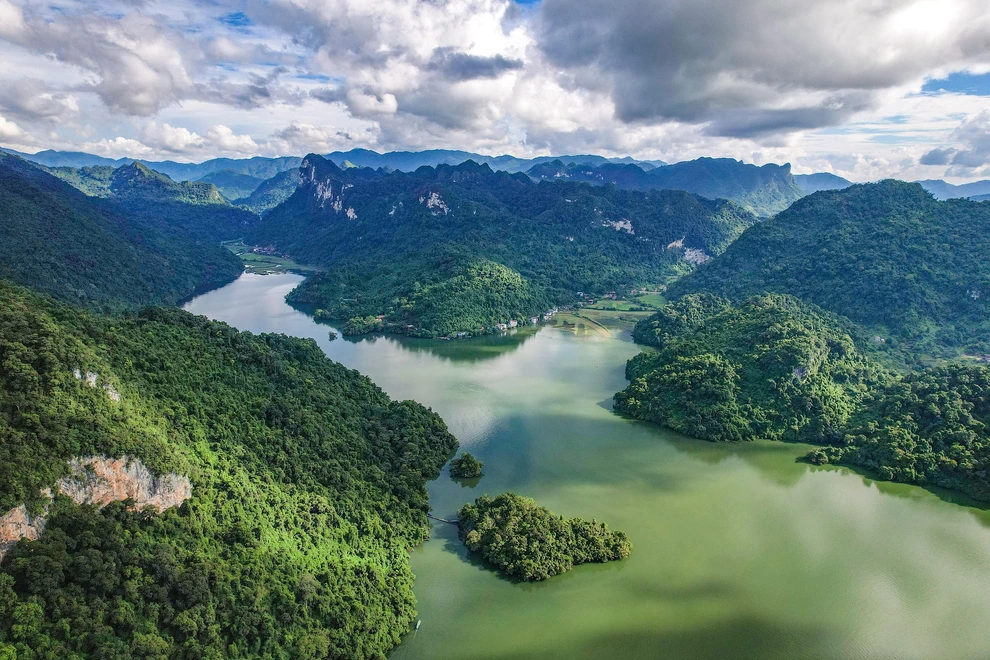 UK plans £400mn loan for tropical forests fund