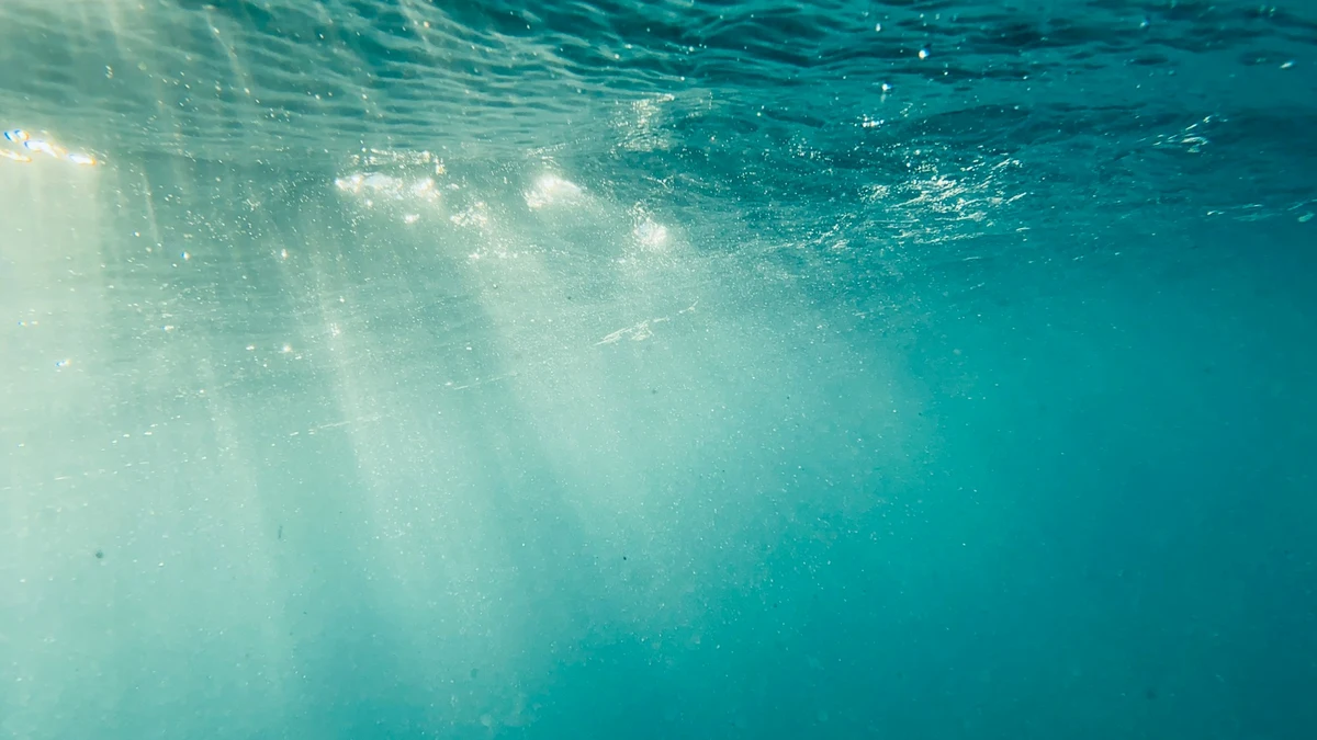 Underwater solar panels generate power