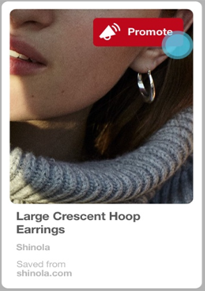 promoted-pin Promoted Pins