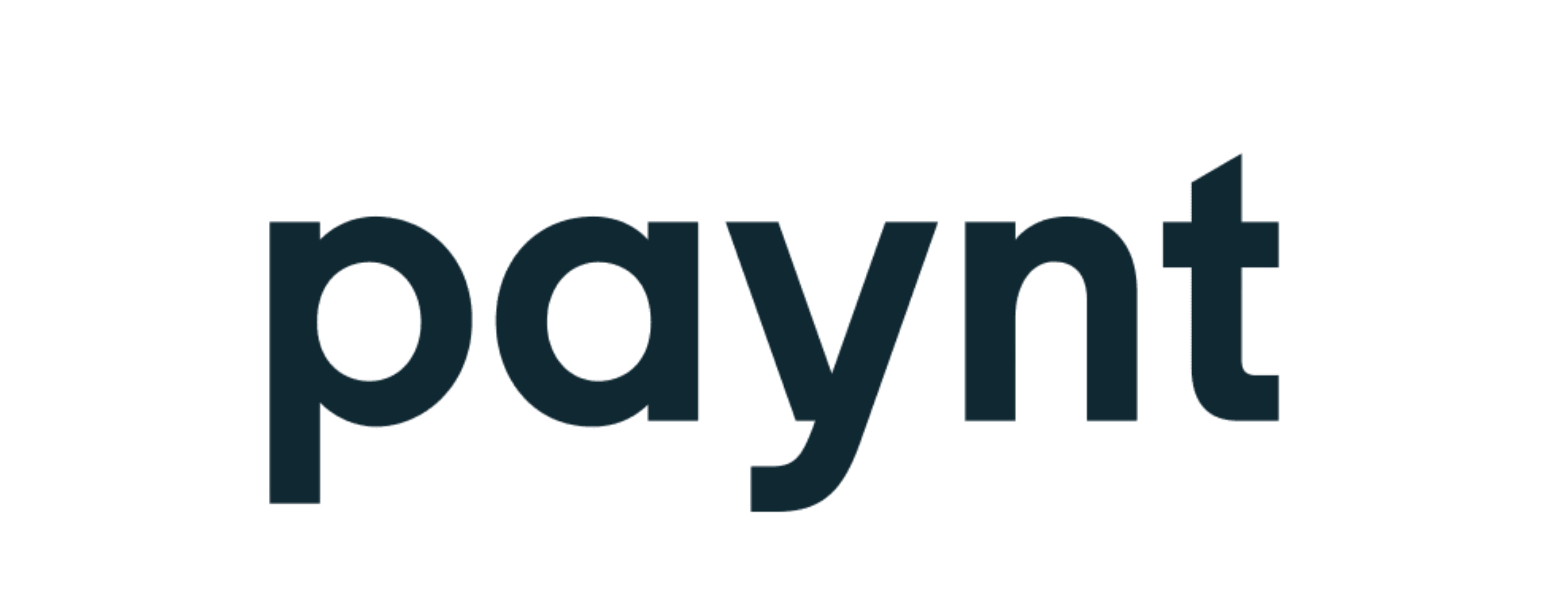 Paynt SIA logo