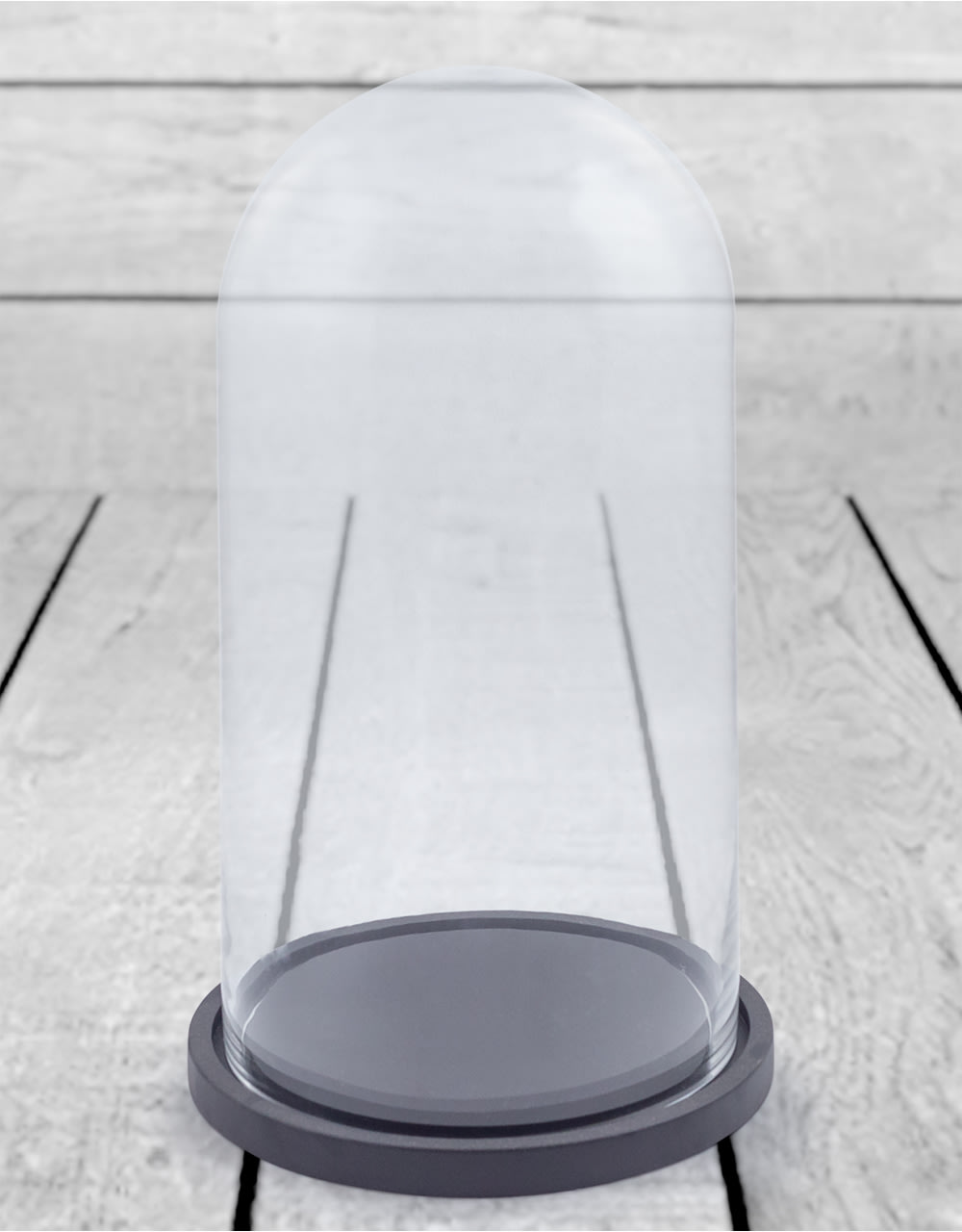 Medium Glass Dome/Cloche on Black Wooden Base