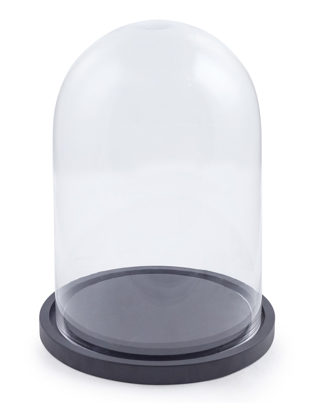 Small Glass Dome/Cloche on Black Wooden Base