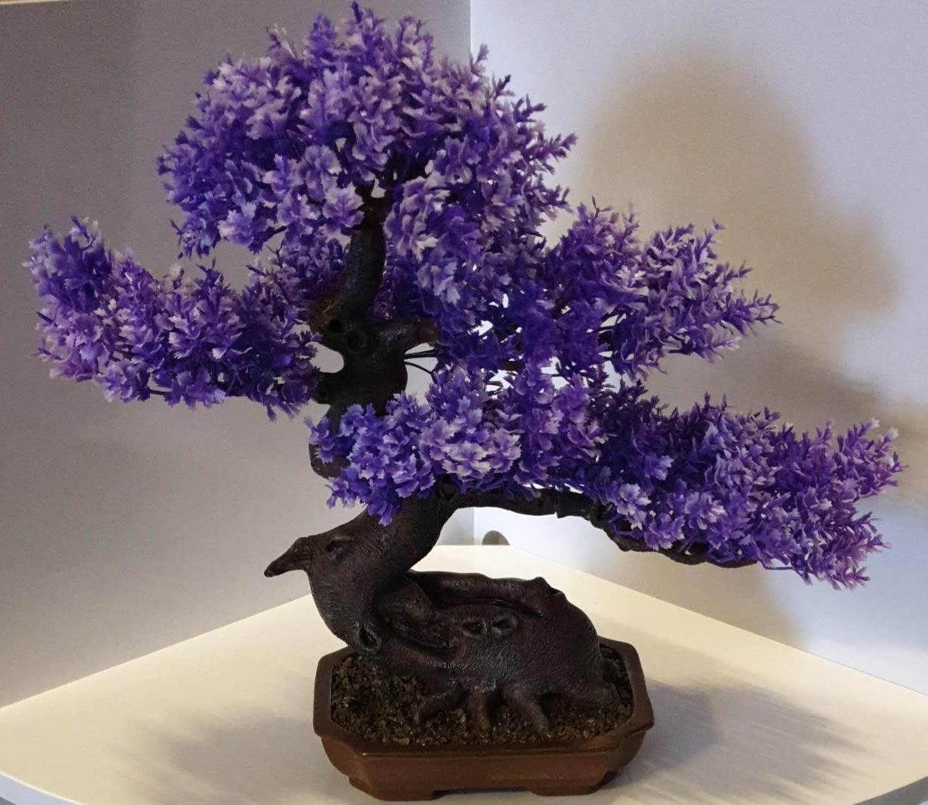 Great Purple Bonsai Tree of the decade Check it out now | earthysai