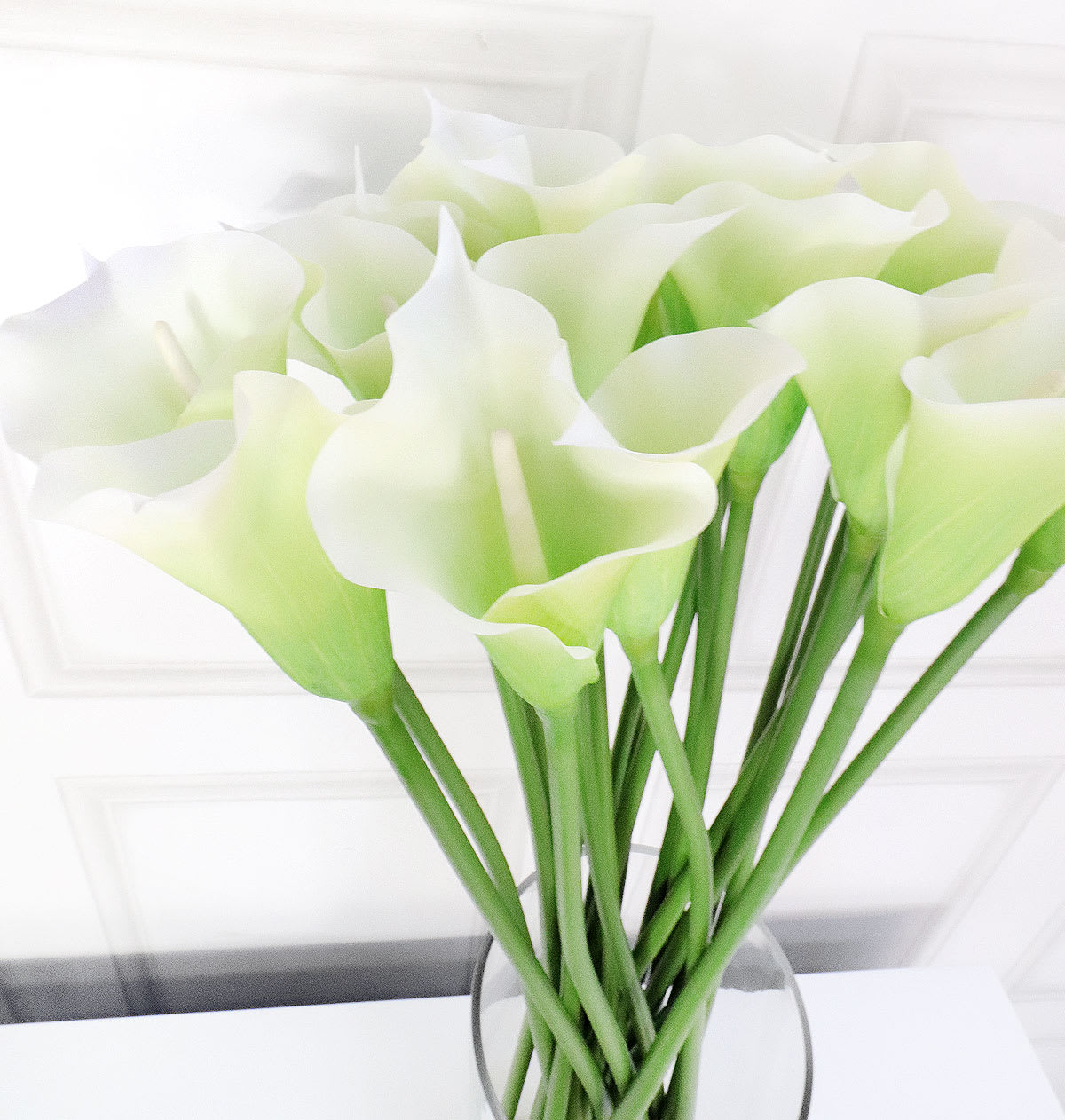 Bright White Calla Lilies in Glass Column Vase Nicky Cornell