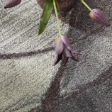 SOM103 PLUM