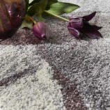 SOM103 PLUM