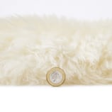 SHEEP IVORY