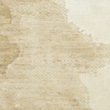 BRL01 BGEIV