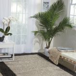 AMORE5 SILVER CHARCOAL