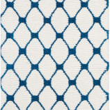DS500  WHITE BLUE