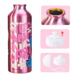 Stitch 500ml Aluminium Bottle