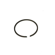 123204009/0 | Piston Ring