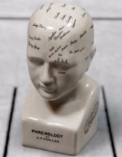 Small Antiqued Ceramic Phrenology Head