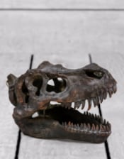 Large T-Rex Skull Wall Head