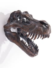 Extra Large T-Rex Skull Wall Head