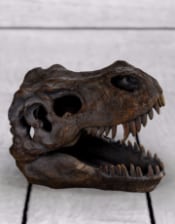 T-Rex Skull Table Decor