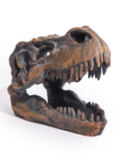 T-Rex Skull Table Decor