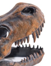 T-Rex Skull Table Decor