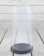 Large Glass Dome/Cloche on Black Wooden Base