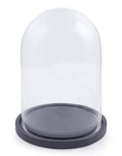 Small Glass Dome/Cloche on Black Wooden Base