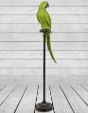 Large Green Parrot on Floor Standing Perch