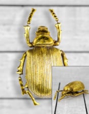 Large Gold Beetle Wall Decoration (to be bought in qtys of 2)