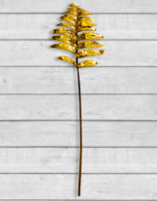 Metallic Gold Large Single Fern Leaf (to be bought in qtys of 12)