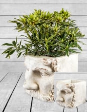 Large Rustic Stone Effect Classical Face Planter