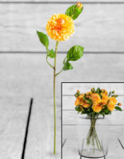 Single Gold Dahlia Stem (to be bought in qtys of 24)