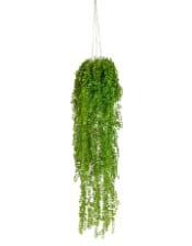 Ornamental Hanging Airplant Vine Arrangement (to be bought in qtys of 6)