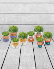 Set of 8 (4 Small, 4 Large) Ceramic People Pots