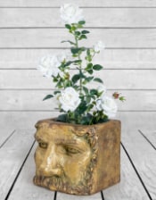 Large Antiqued Gold Classical Face Planter