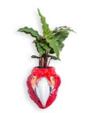 Hand Painted Ceramic Red Macaw/Parrot Head Wall Sconce Vase