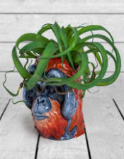 Hand Painted Ceramic Orangutan Head Storage Jar/Vase