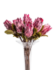 Single Protea Stem (to be bought in qtys of 12)