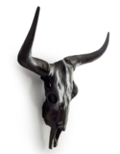 Aluminium Antique Bronze Bison Wall Skull