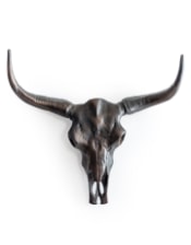 Aluminium Antique Bronze Bison Wall Skull