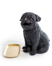 Black Pug Dog Holding Gold Tray
