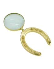 Large Horseshoe Magnifying Glass