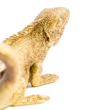 Antique Gold Iguana Wall / Table Lamp