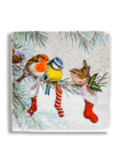 Christmas Birds on Branch Festive Coaster