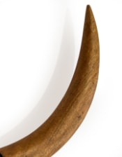 Distressed Black and Wood Tribal Bison Wall Head