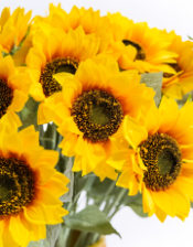 Single Sunflower Stem (to be bought in qtys of 24)