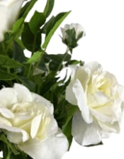 Large Ornamental Potted White Rose Tree