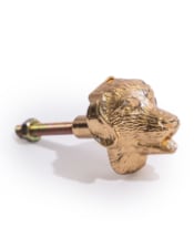 Gold Dog Head Drawer Knob (to be bought in qtys of 6)