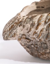 Large Antiqued "Love Heart" Pair of Swan Planters