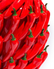 Multi Red Chilli Ceramic Vase